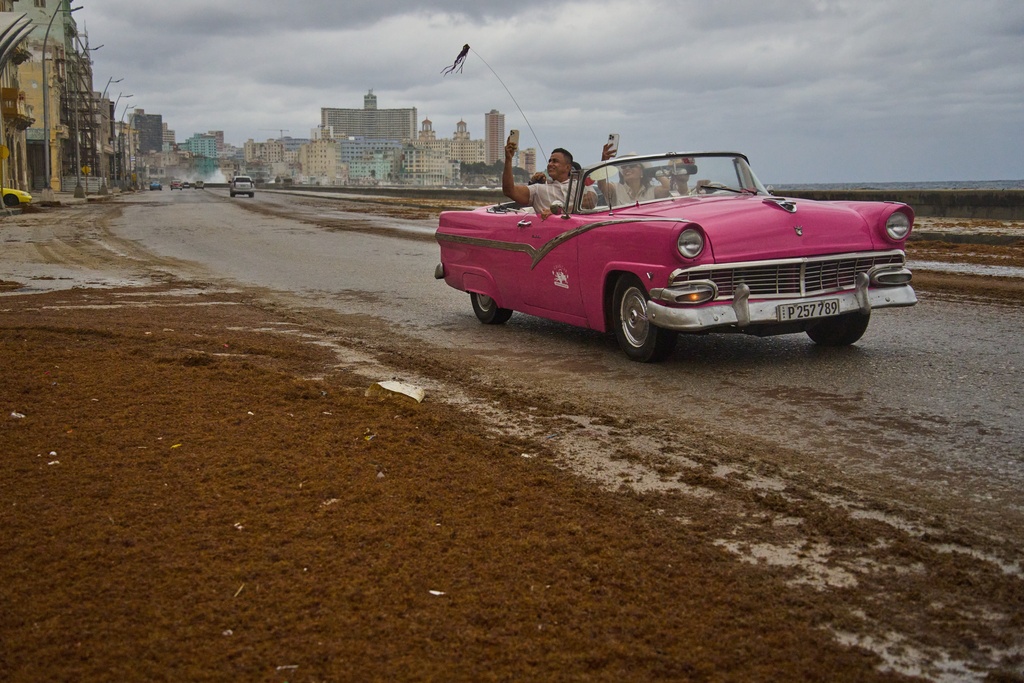 Tourists travel in a classic American car along the Malecon littered with sargassum seaweed, in Havana, Cuba, Wednesday, Jan. 28, 2026. (AP Photo/Ramon Espinosa)