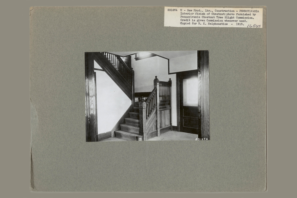 This 1915 handout image from the U.S. National Archives and Records provided by the Pennsylvania Chestnut Tree Blight Commission, shows the chestnut wood interior finish of an unspecified building in Pennsylvania. (U.S. National Archives and Records via AP)