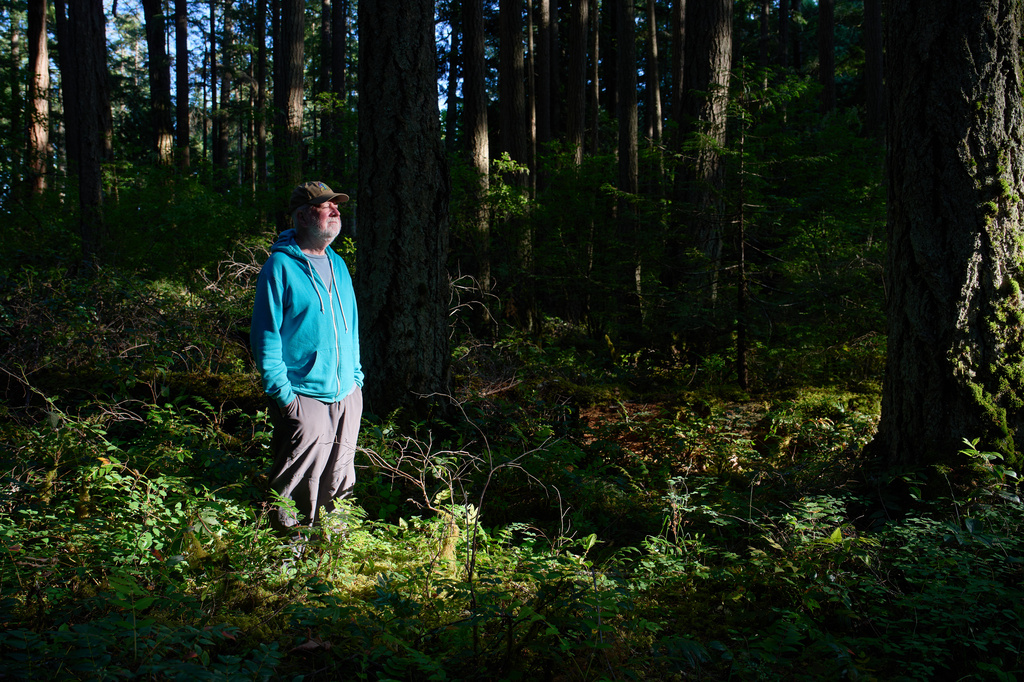 Andy MacKinnon, a forest ecologist, stands beneath the forest canopy near Victoria, British Columbia, Friday, May 29, 2026. (AP Photo/Annika Hammerschlag)