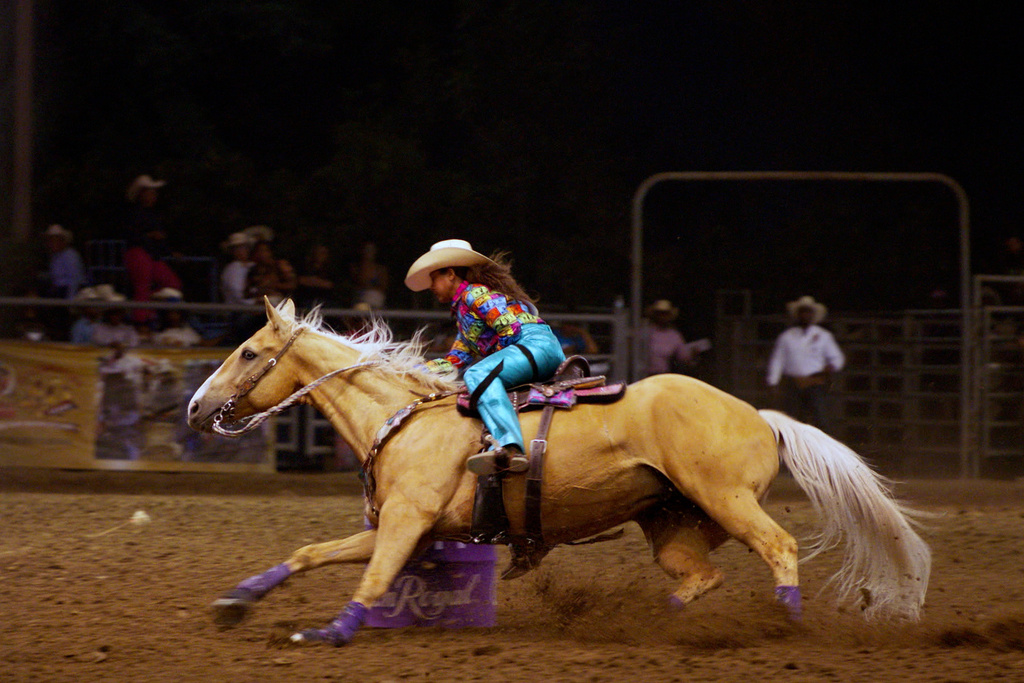 This image released by Peacock shows a scene from the documentary "High Horse: The Black Cowboy." (Troy Harvey/Peacock via AP)