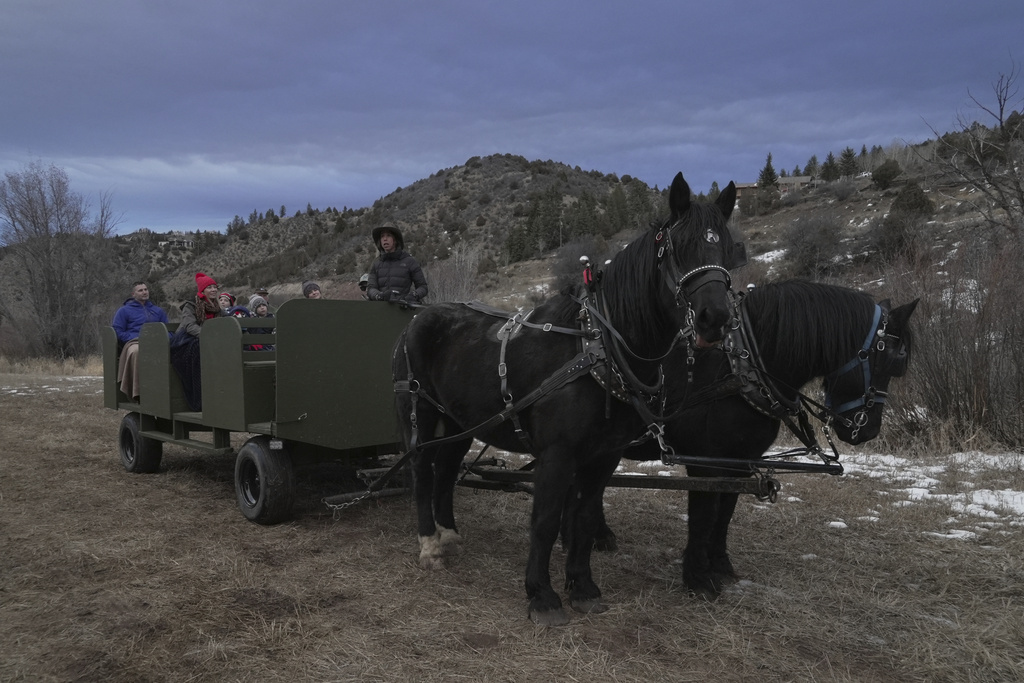 Tourists ride in a horse-pulled wagon in lieu of a sleigh Thursday, Dec. 18, 2025, in Edwards, Colo. (AP Photo/Brittany Peterson)