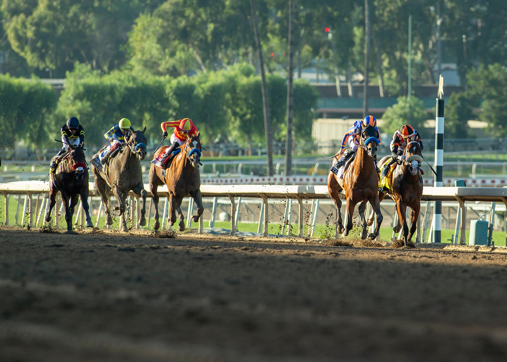 In this image provided by Benoit Photo, Magnier, Smith and Tabor's Plutarch and jockey Florent Geroux, second from right, battle Intrepid (Hector I. Berrios up), right, and go on to win the Grade III $100,000 Robert B. Lewis Stakes, Saturday, Feb. 7, 2026 at Santa Anita Park, Arcadia, Calif. (Benoit Photo via AP)