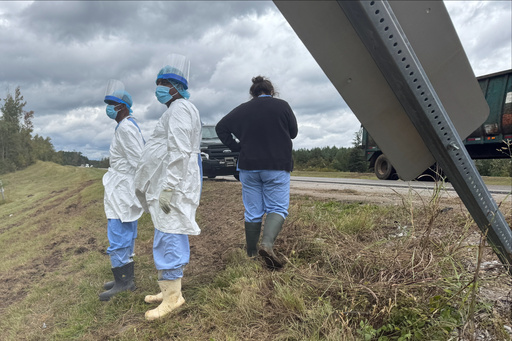 People wearing protective clothing search along a highway in Heidelberg, Miss., on Wednesday, Oct. 29, 2025, near the site of a truck which overturned Tuesday, that was carrying research monkeys. (AP Photo/Sophie Bates) People wearing protective clothing search along a highway in Heidelberg, Miss., on Wednesday, Oct. 29, 2025, near the site of a truck which overturned Tuesday, that was carrying research monkeys. (AP Photo/Sophie Bates)