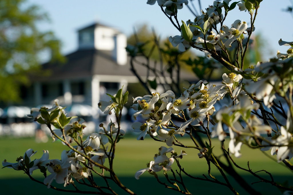 FILE - Dogwood flowers frame the clubhouse during a practice round for the Masters golf tournament on April 5, 2021, in Augusta, Ga. (AP Photo/David J. Phillip, File)