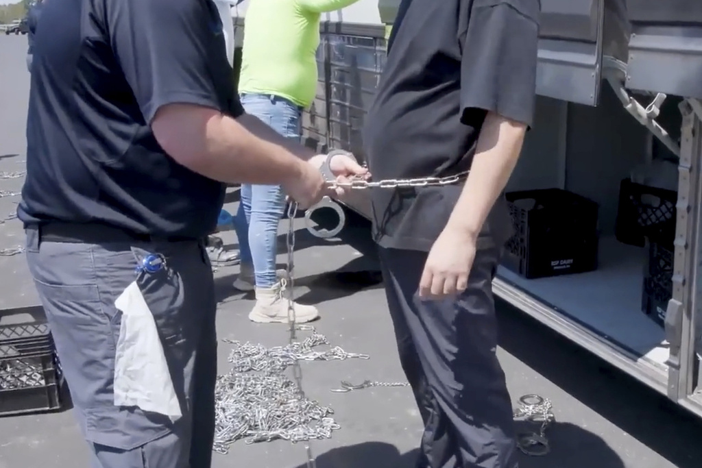 This image from video provided by U.S. Immigration and Customs Enforcement via DVIDS shows a person being handcuffed at the Hyundai Motor Group’s electric vehicle plant, Thursday, Sept. 4, 2025, in Ellabell, Ga. (Corey Bullard/U.S. Immigration and Customs Enforcement via AP)