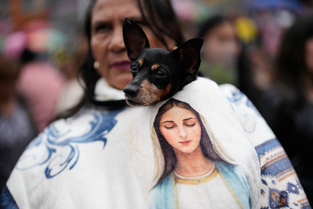 A woman and her dog attend a Mass on Palm Sunday, marking the start of Holy Week, at the Divine Child Church in Bogota, Colombia, Sunday, March 29, 2026. (AP Photo/Fernando Vergara)