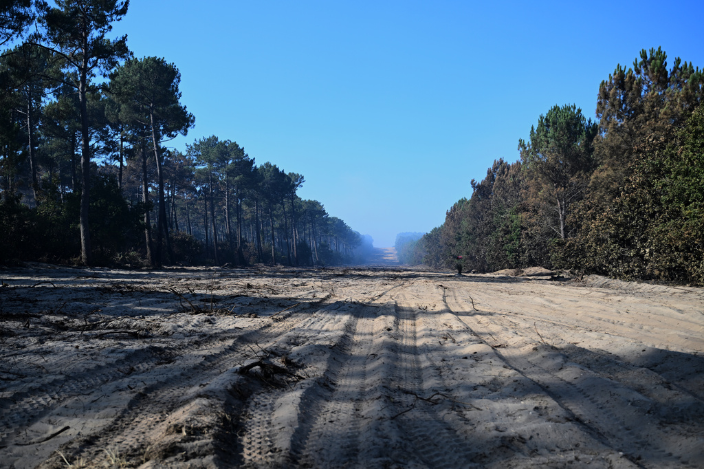 A control line is cut through the forest to prevent the advance of a fire in Claouey, following wildfires in the area of southwestern France, Tuesday, July 28, 2026. (AP Photo/Emma Da Silva)