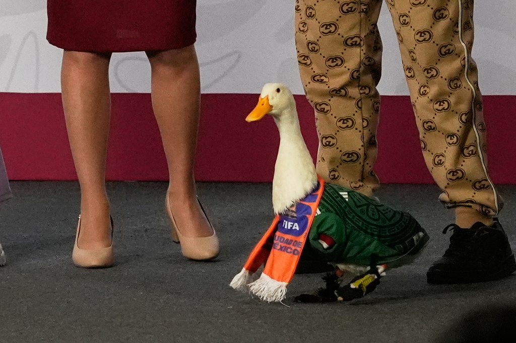 Merlin the duck, dressed in a Mexican national soccer team jersey, attends the daily press conference by Mexican President Claudia Sheinbaum, left, along with his caretakers Carla Gomez and her sons Carlos and at the National Palace in Mexico City, Monday, June 22, 2026. (AP Photo/Marco Ugarte)