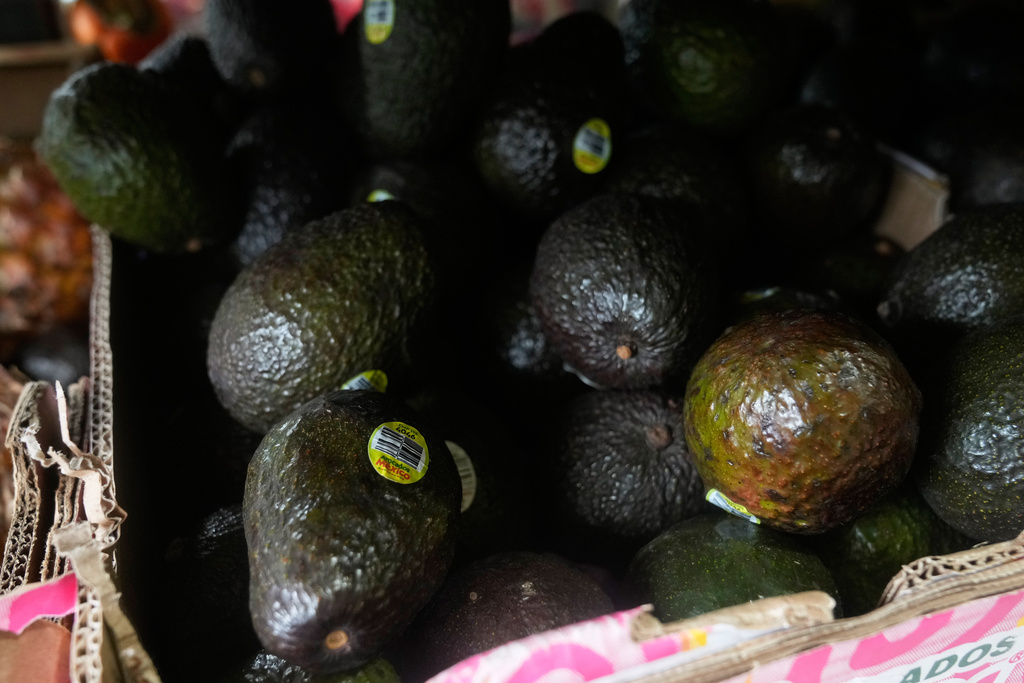 Avocados imported from Mexico are displayed at a market in San Francisco, Saturday, Nov. 15, 2025. (AP Photo/Jeff Chiu)