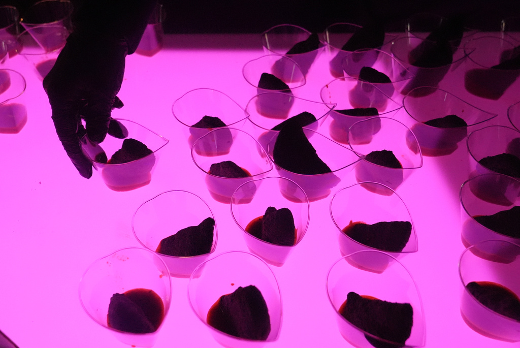 Octopus empanadas with sweet pepper tobiko sauce are arranged on a table during the Asian Night Market at the South Beach Wine and Food Festival Friday, Feb. 20, 2026, in Miami Beach, Fla. (AP Photo/Marta Lavandier)