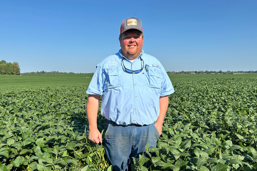 Kentucky Farmer Caleb Ragland stands in one of his soybean fields in Magnolia, Ky., Sept. 12, 2025. (AP Photo/Dylan Lovan) Kentucky Farmer Caleb Ragland stands in one of his soybean fields in Magnolia, Ky., Sept. 12, 2025. (AP Photo/Dylan Lovan)