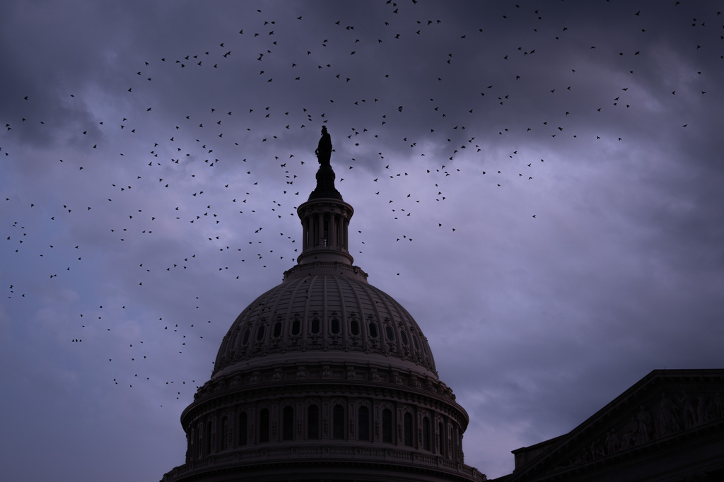Birds fly near the U.S. Capitol, Tuesday, July 28, 2026, in Washington. (AP Photo/Allison Robbert)