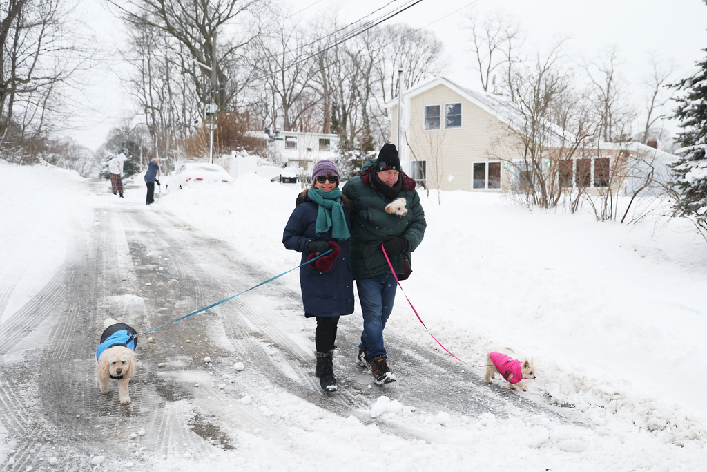 FILE - Maureen Regan and Rich Regan walk with their dogs, Rooney, Nutella, and Mia, in the aftermath of a winter storm, Monday, Feb. 23, 2026, in Kings Park, N.Y. (AP Photo/Heather Khalifa, File)