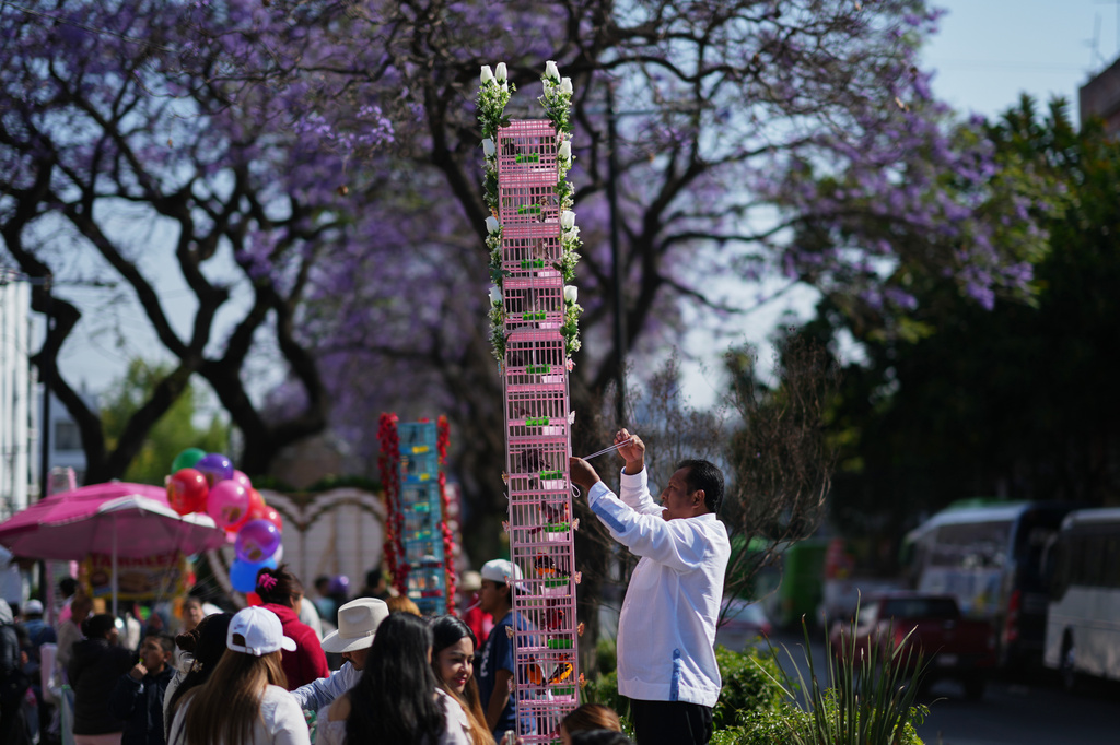 A vendor arranges a cage before an annual pilgrimage of bird vendors to the Basilica of Guadalupe in Mexico City, Sunday, March 29, 2026. (AP Photo/Eduardo Verdugo)