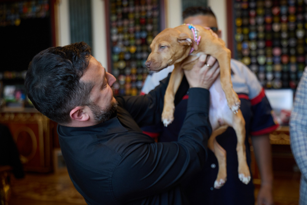 In this photo provided by the Ukrainian Presidential Press Office, Ukrainian President Volodymyr Zelenskyy, holds a puppy of American pit bull terrier named Freya, given to him by former American boxer Terence Crawford after their meeting in Kyiv, Ukraine, Tuesday, Aug. 25, 2026. (Ukrainian Presidential Press Office via AP)