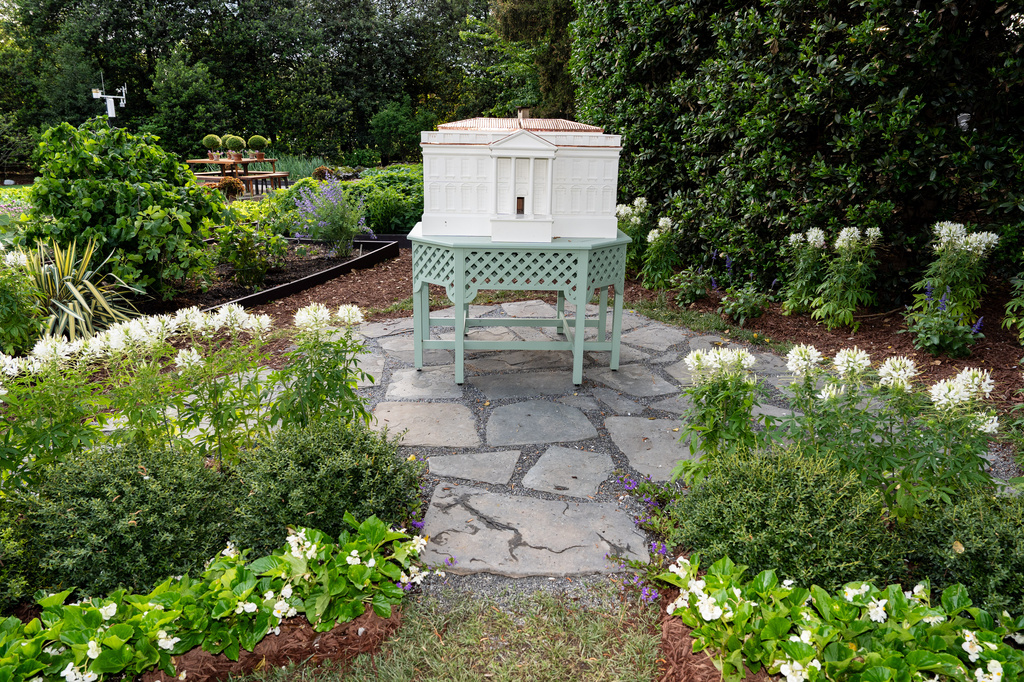 Bees fly around a beehive crafted to look like the White House on the South Lawn of the White House, Friday, April 24, 2026, in Washington. (AP Photo/Alex Brandon)