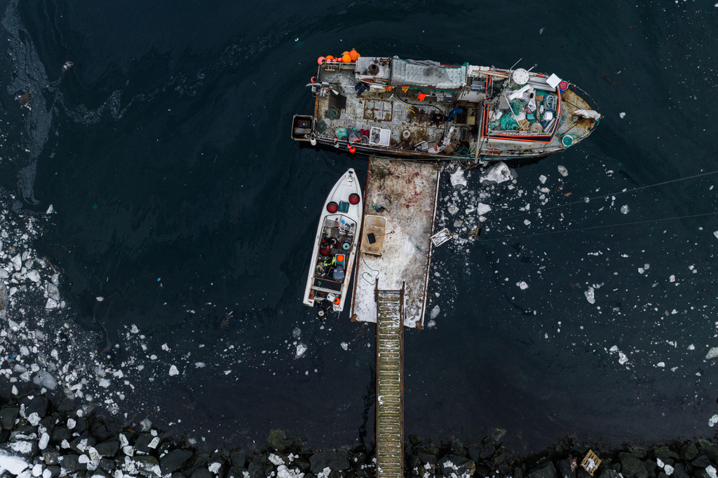 Fishermen unload boxes with fish from a boat at the harbor of Nuuk, Greenland, on Thursday, Jan. 22, 2026. (AP Photo/Evgeniy Maloletka)