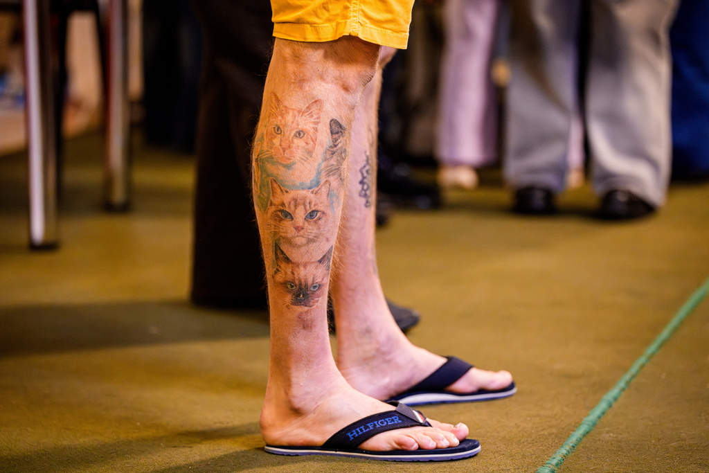 A cat breeder, donning cat-themed tattoos, attends an international feline beauty competition, dubbed the Feline Oscars, featuring more than 200 cats, in Bucharest, Romania, Saturday, March 21, 2026. (AP Photo/Andreea Alexandru)