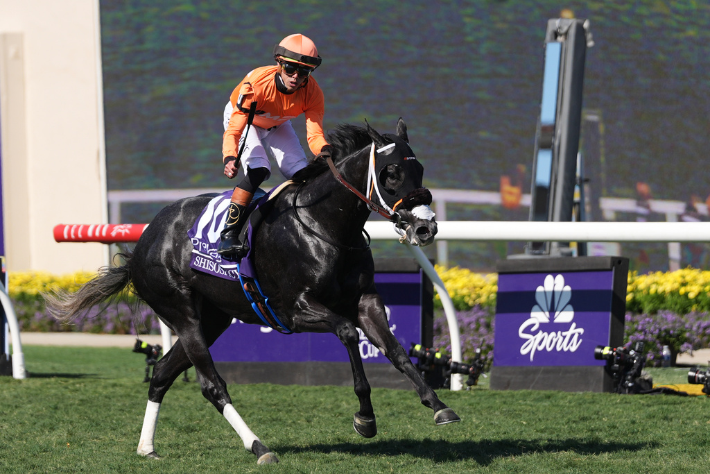 Irad Ortiz Jr. rides Shisospicy to victory in the Breeders' Cup Turf Sprint horse race on Saturday, Nov. 1, 2025, in Del Mar, Calif. (AP Photo/Gregory Bull)