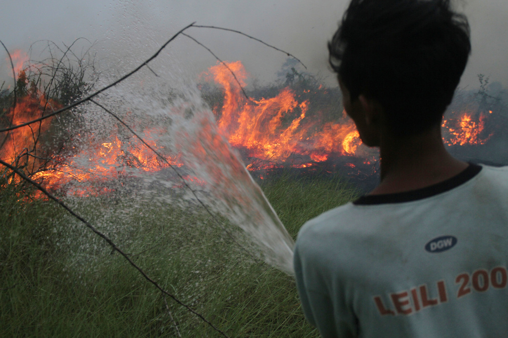 A volunteer sprays water in an attempt to extinguish a wildfire burning through a peatland field in Ogan Ilir, South Sumatra, Indonesia, Monday, Aug. 24, 2026. (AP Photo/Muhammad Hatta)