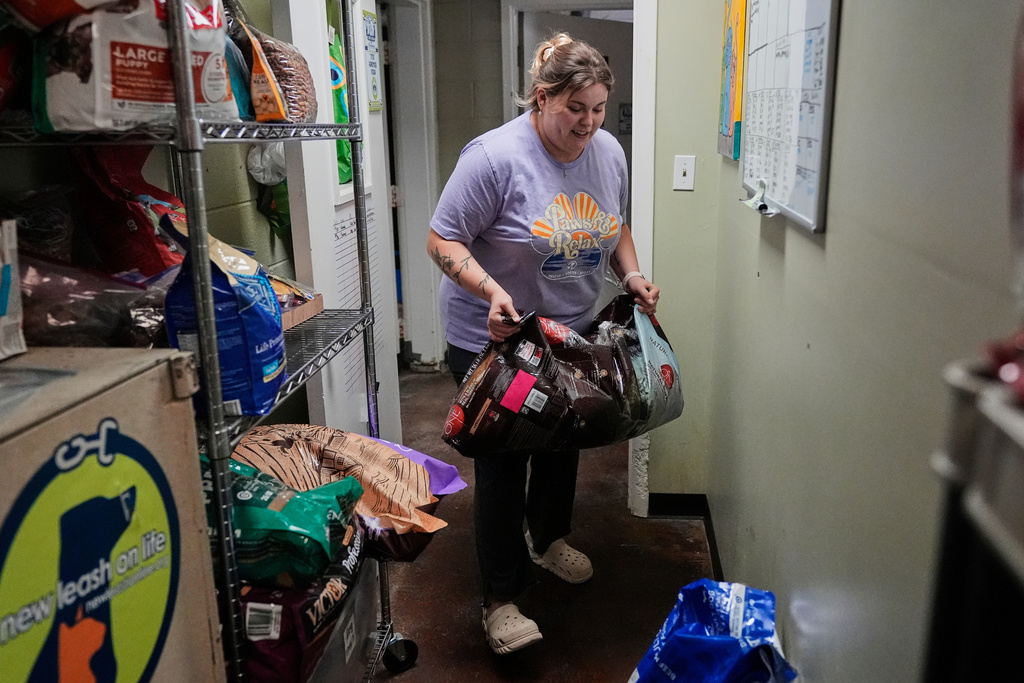 Danica Anderson restocks a Pet food pantry, for families needing help to provide for their dogs and cats, at New Leash On Life animal shelter, Thursday, Nov. 6, 2025, in Lebanon, Tenn. (AP Photo/George Walker IV)