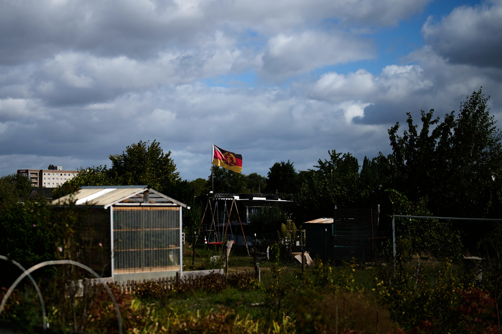 The flag of the former German Democratic Republic (GDR) waves on the weekend of the state elections in Saxony-Anhalt in an allotment garden in Stendal, Germany, Sunday, Sept. 6, 2026. (AP Photo/Matthias Schrader)