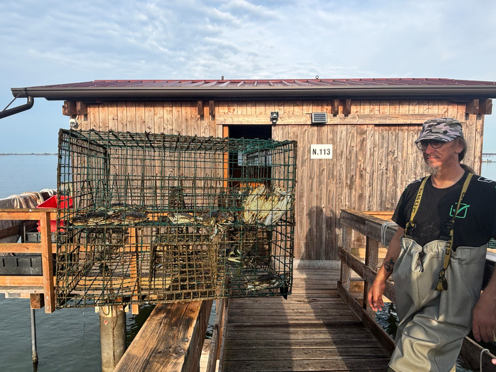 Federico Zago, a second-generation fisherman, who pulls up crabs by the cageful from his traditional fishing cabin built on stilts over the Scardovari Lagoon in Italy's Po River Delta, poses next to a trap containing blue crabs, Aug. 21, 2026. (AP Photo/Colleen Barry)