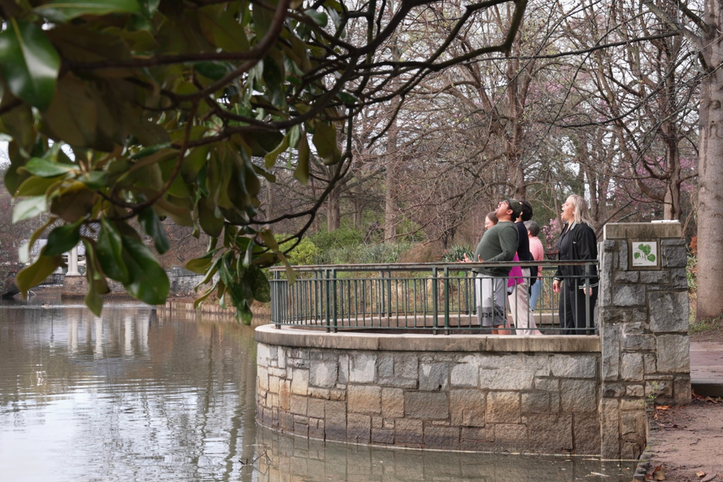 Scream Club participants scream together in Piedmont Park, Sunday, March 8, 2026, in Atlanta. (AP Photo/Emilie Megnien)