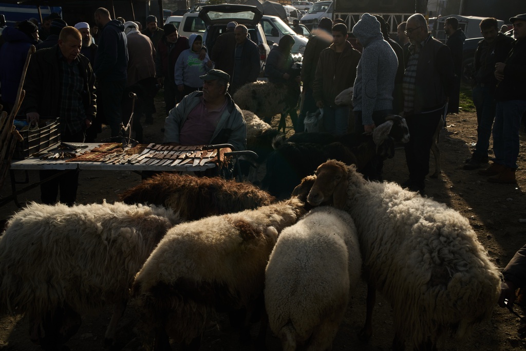 A Palestinian sits next to his stand as he sells knives at a livestock market near Balata refugee camp on the outskirts of the West Bank city of Nablus, Thursday, Feb. 12, 2026. (AP Photo/Leo Correa)