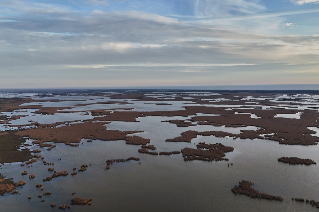 The sun sets over Rockefeller Wildlife Refuge, Tuesday, Jan. 20, 2026, in Grand Chenier, La. (AP Photo/Joshua A. Bickel)