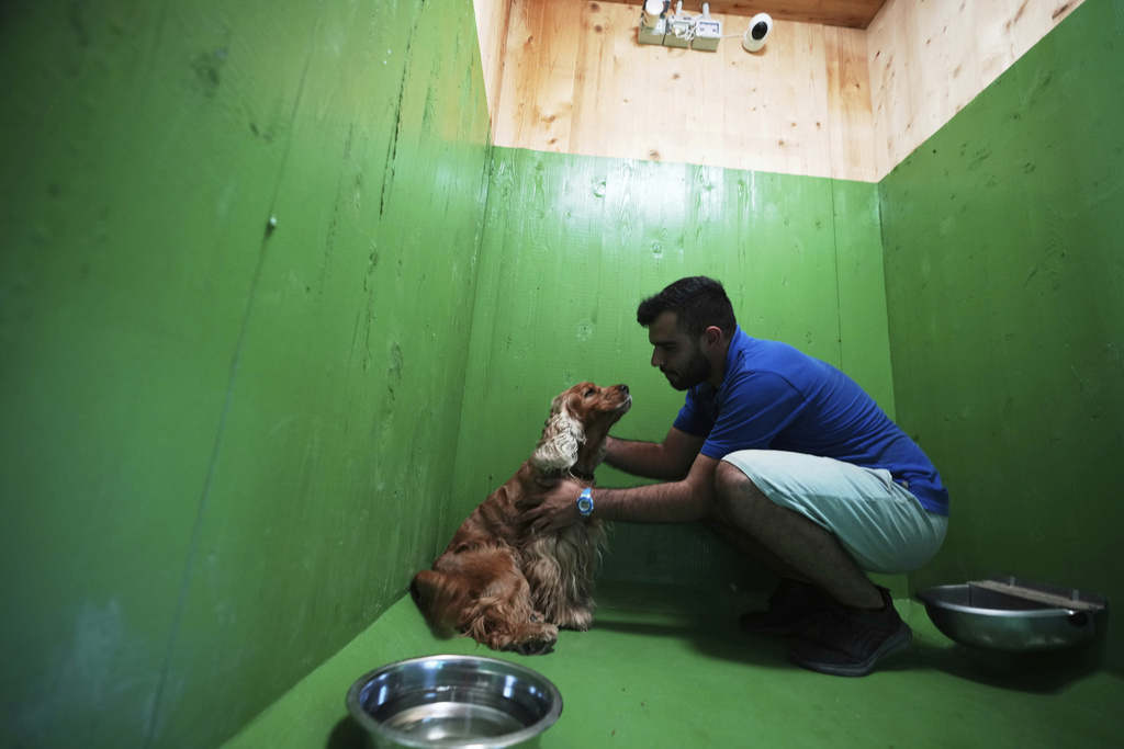 Manolo Fiorenzi, a dog trainer, caresses Otto, an old a cocker dog in one of the rooms of the Dog Relais, a hotel for dogs at Rome's Fiumicino International Airport, Wednesday, Sept. 17, 2025. (AP Photo/Alessandra Tarantino)