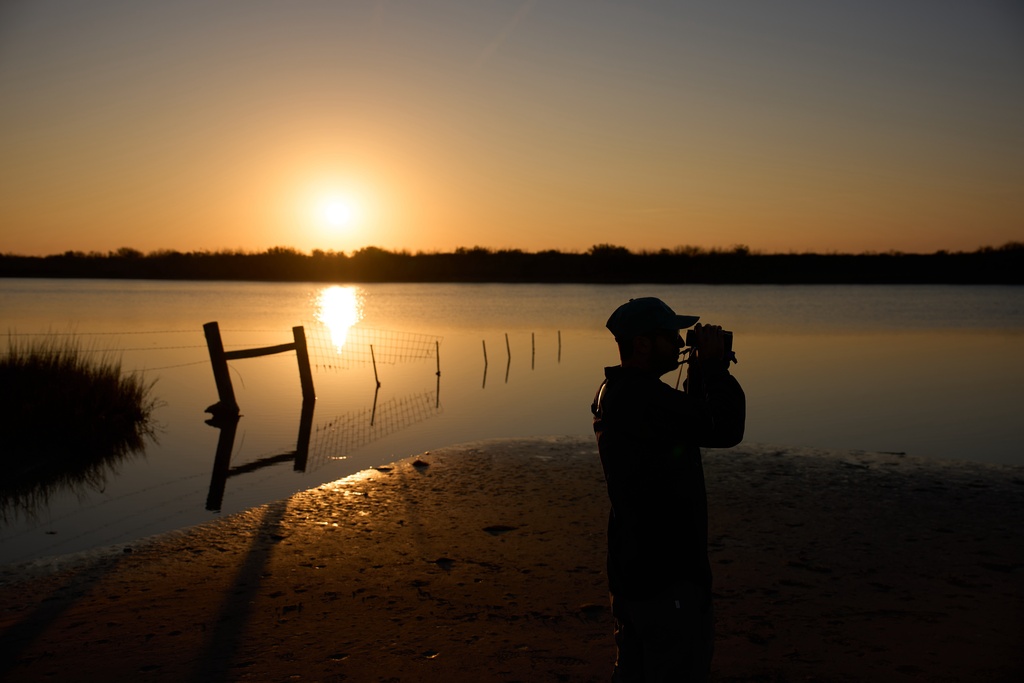 Carter Crouch, Director of Gulf Coast Programs at the International Crane Foundation, looks through binoculars as the sun rises at the Wolfberry Whooping Crane Sanctuary, Thursday, Dec. 11, 2025, near Seadrift, Texas. (AP Photo/John Locher)