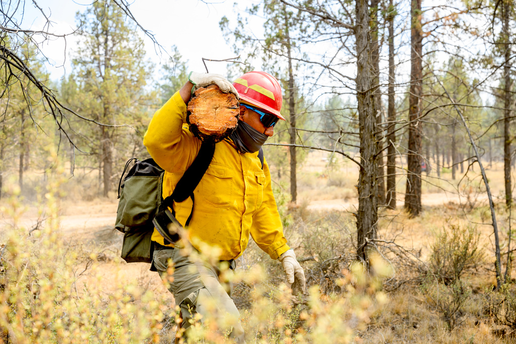 A firefighter clears vegetation as the Akawa Butte fire approaches on Friday, July 24, 2026, near Sisters, Ore. (AP Photo/Noah Berger)