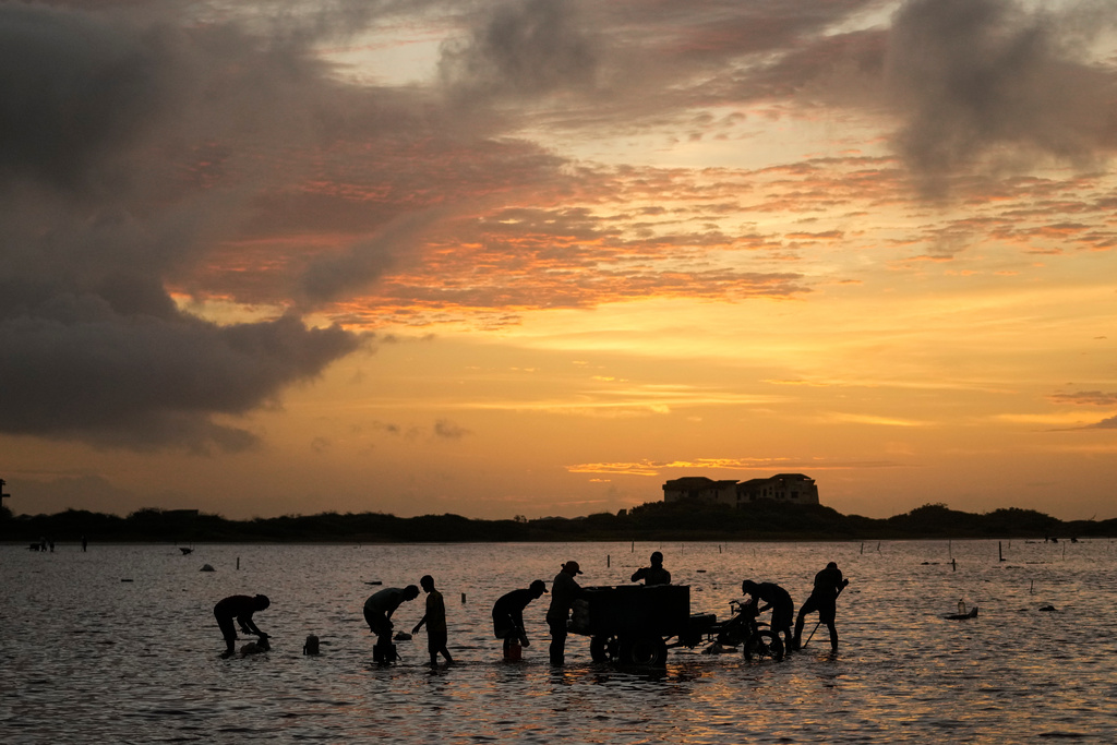 People work at the Salinas de Cumaraguas salt flats on the Paraguana Peninsula, Venezuela, Thursday, Jan. 15, 2026. (AP Photo/Matias Delacroix)