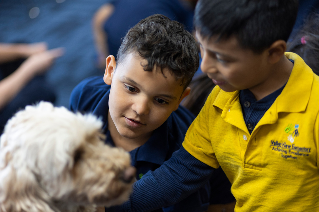 Kaleb, center, pets Sage, a therapy dog, at Valley View Elementary School on April 29, 2026, in Columbia Heights, Minn. (Ellen Schmidt/MinnPost via AP)