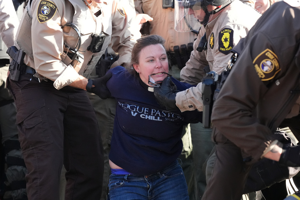 Illinois State Police and Cook County Sheriff Police detain a protester outside an ICE processing facility in the Chicago suburb of Broadview, Ill., Friday, Nov. 14, 2025. (AP Photo/Nam Y. Huh)