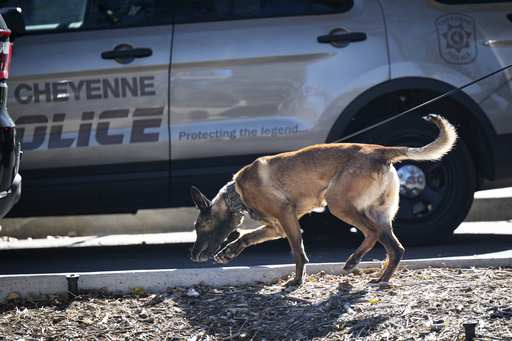 A law enforcement K9 sweeps the grounds of the Wyoming Capitol after a suspected improvised explosive device (IED) was found at the state Capitol on Tuesday, Oct. 21, 2025, in Cheyenne, Wyo. (Milo Gladstein/The Wyoming Tribune Eagle via AP) A law enforcement K9 sweeps the grounds of the Wyoming Capitol after a suspected improvised explosive device (IED) was found at the state Capitol on Tuesday, Oct. 21, 2025, in Cheyenne, Wyo. (Milo Gladstein/The Wyoming Tribune Eagle via AP)