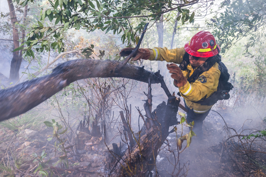 A firefighter throws a burning log out of the way while fighting the Timber Fire above Deetjen's Inn in Big Sur, Calif., Tuesday, Aug. 11, 2026. (AP Photo/Nic Coury)