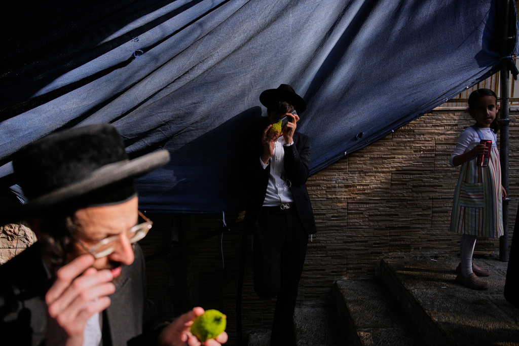 Ultra-Orthodox Jewish men inspect an etrog, a citrus fruit, to determine if it is ritually acceptable as one of the four items used as a symbol on the upcoming Jewish holiday of Sukkot, in Jerusalem's Mea Shearim neighborhood, Sunday, Oct. 5, 2025. (AP Photo/Ohad Zwigenberg)