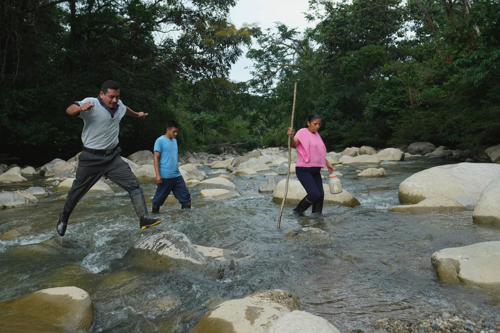 Ramon Pucha, his son Jhoel, and his wife Marlene cross the Alto Ila River during an expedition to search for native seeds to grow on their farm, where they preserve species and share seedlings with neighboring communities in an effort to protect biodiversity, in Alto Ila, in Ecuador's Amazon region, Tuesday, Feb. 3, 2026. (AP Photo/Dolores Ochoa)