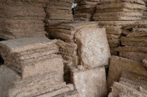 Pallets made from agricultural waste, for use in building house wall and roof insulation, are displayed at the MycoTile facility at the Kenya Industrial Research and Development Institute in Nairobi, Kenya, Thursday, July 24, 2025. (AP Photo/Brian Inganga) Pallets made from agricultural waste, for use in building house wall and roof insulation, are displayed at the MycoTile facility at the Kenya Industrial Research and Development Institute in Nairobi, Kenya, Thursday, July 24, 2025. (AP Photo/Brian Inganga)