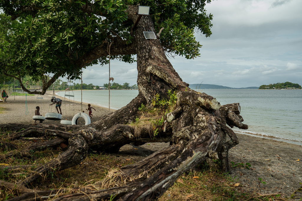 FILE - Children play on an uprooted tree along a beach in Mele, Vanuatu, July 19, 2025, that was once lined with vegetation, now largely lost to storms, erosion and other environmental pressures. (AP Photo/Annika Hammerschlag, File)