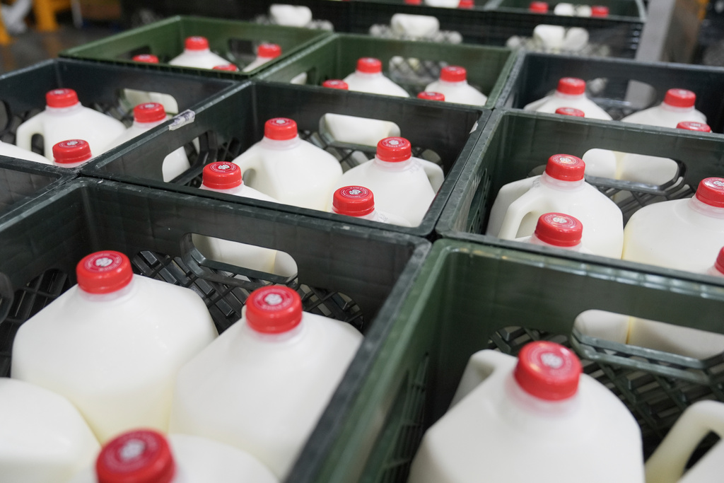 FILE - Crates of milk are shown in the San Francisco-Marin Food Bank warehouse in San Francisco, Wednesday, July 2, 2025. (AP Photo/Jeff Chiu, File)