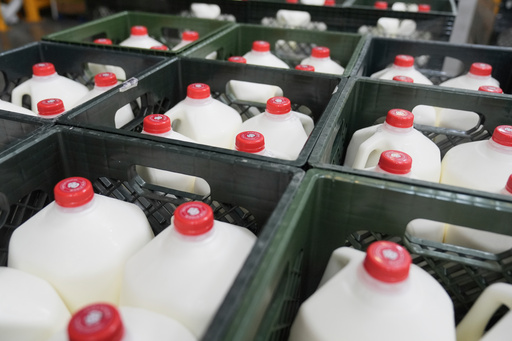 FILE - Crates of milk are shown in the San Francisco-Marin Food Bank warehouse in San Francisco, Wednesday, July 2, 2025. (AP Photo/Jeff Chiu, File) FILE - Crates of milk are shown in the San Francisco-Marin Food Bank warehouse in San Francisco, Wednesday, July 2, 2025. (AP Photo/Jeff Chiu, File)