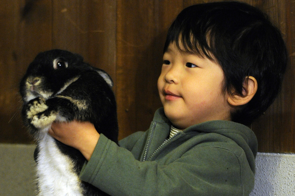FILE - Japan's Prince Hisahito, 3, smiles as he holds a rabbit during his visit to Ueno Zoo in Tokyo, Japan, with his parents Prince Akishino and Princess Kiko Monday, Oct. 26, 2009. (AP Photo/Shuji Kajiyama, File)