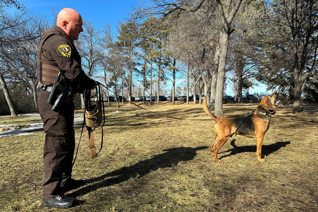 North Dakota Highway Patrol Trooper Steven Mayer watches as Bleu, a bloodhound, sniffs the air, Feb. 11, 2026, near the state Capitol in Bismarck, N.D. (AP Photo/Jack Dura)