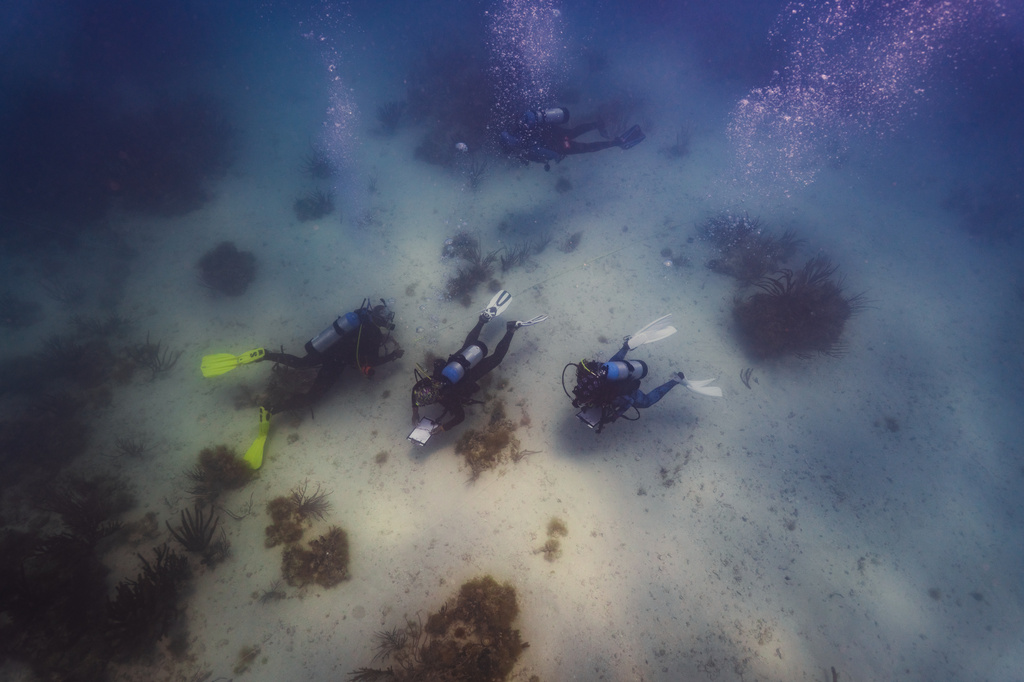 In this photo provided by Kory Lamberts, Black divers with the Underwater Adventure Seekers visit the wreck site of the Henrietta Marie, a British slave ship which sank in 1700 in the waters off the coast of Key West, Fla., Friday, May 8, 2026. (Kory Lamberts/Aquatic Futures Foundation via AP)