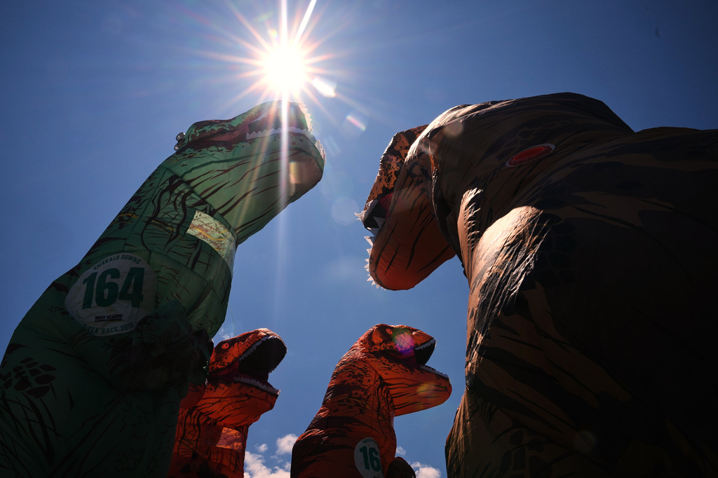 Participants gather to talk and line up for the preliminary heats during the T-Rex World Championship Races at Emerald Downs, Sunday, July 12, 2026, in Auburn, Wash. (AP Photo/Lindsey Wasson)