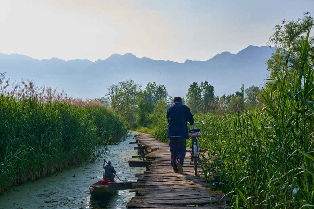 A cyclist walks a bike on a wooden footbridge as a man rows his boat in the interiors of Dal Lake on the outskirts of Srinagar, Indian controlled Kashmir, Monday, May 4, 2026. (AP Photo/Dar Yasin)