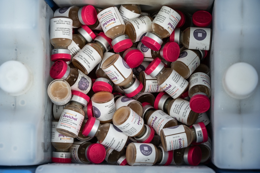 Cholera vaccine are ready to be given in Blantyre, southern Malawi, Thursday, Jan. 22, 2026. (AP Photo/Thoko Chikondi)